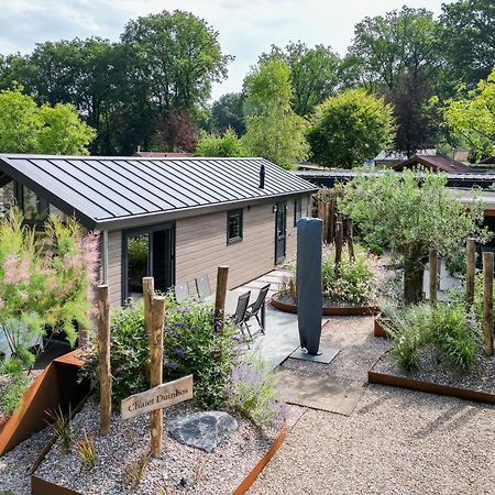 Modern Ingericht Chalet Op Groen Park Op De Veluwe Epe Esterno foto