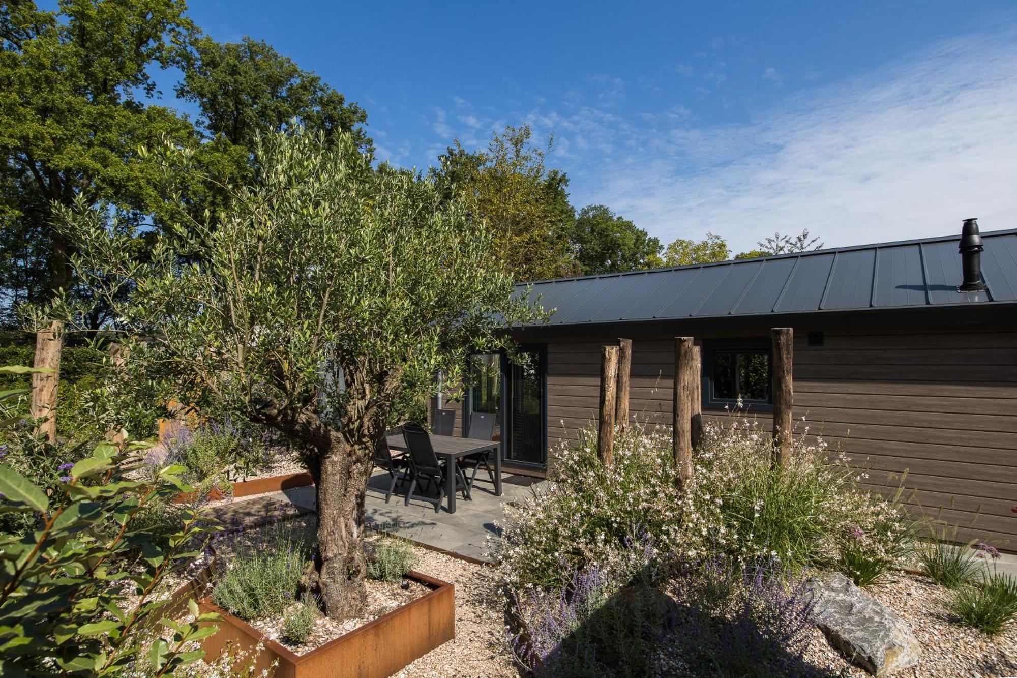 Modern Ingericht Chalet Op Groen Park Op De Veluwe Epe Esterno foto