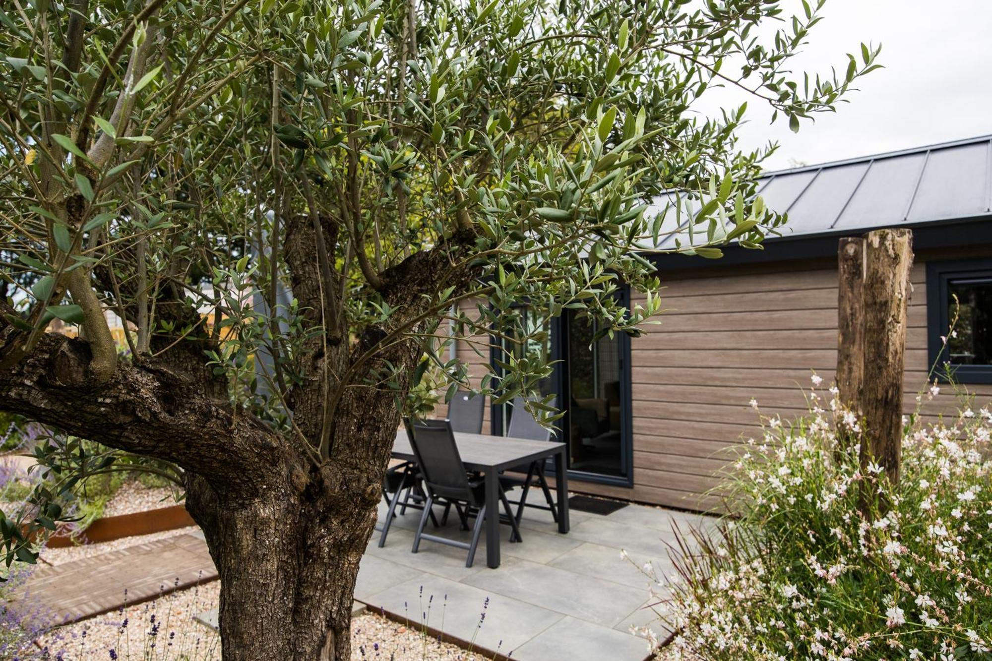 Modern Ingericht Chalet Op Groen Park Op De Veluwe Epe Esterno foto