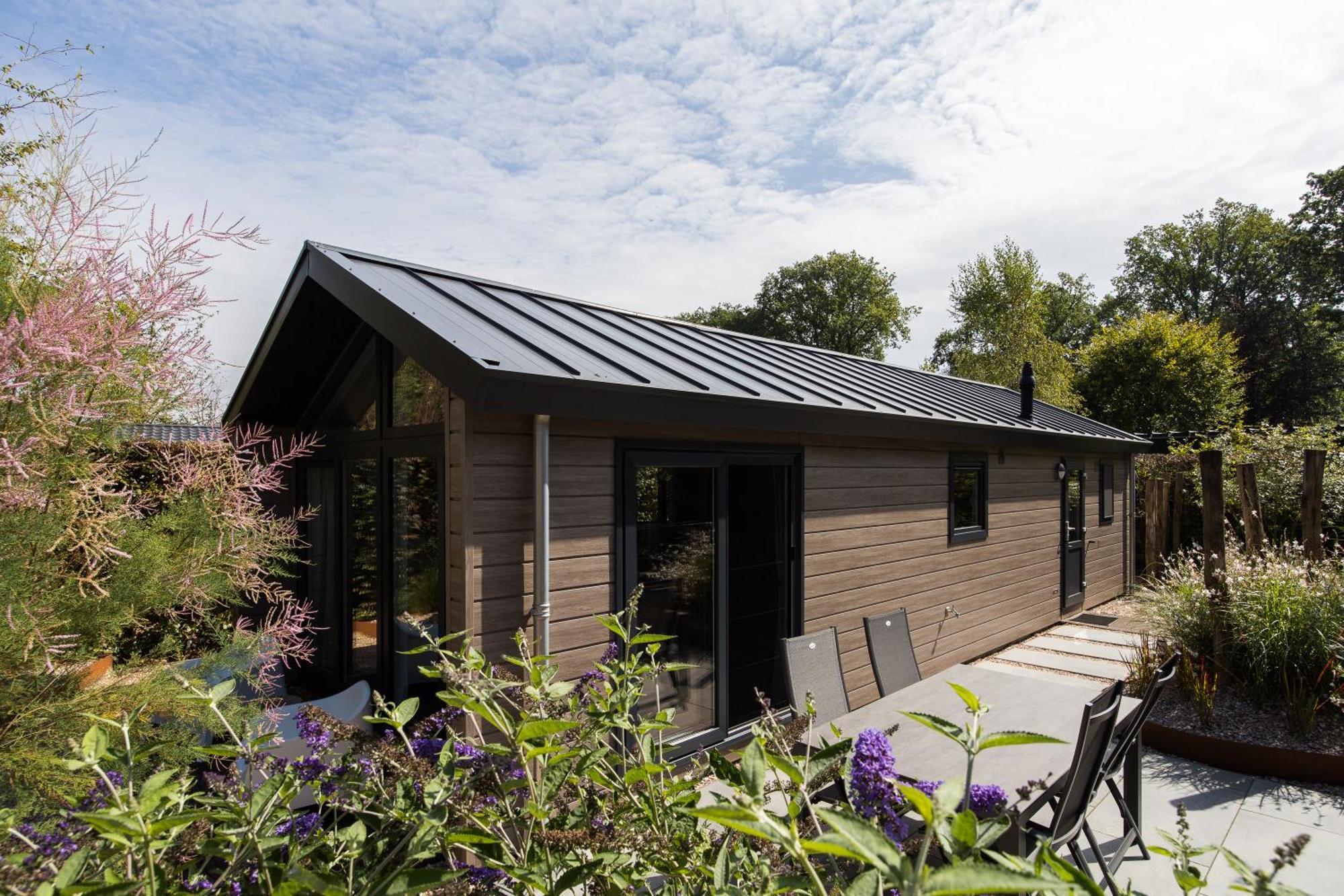 Modern Ingericht Chalet Op Groen Park Op De Veluwe Epe Esterno foto