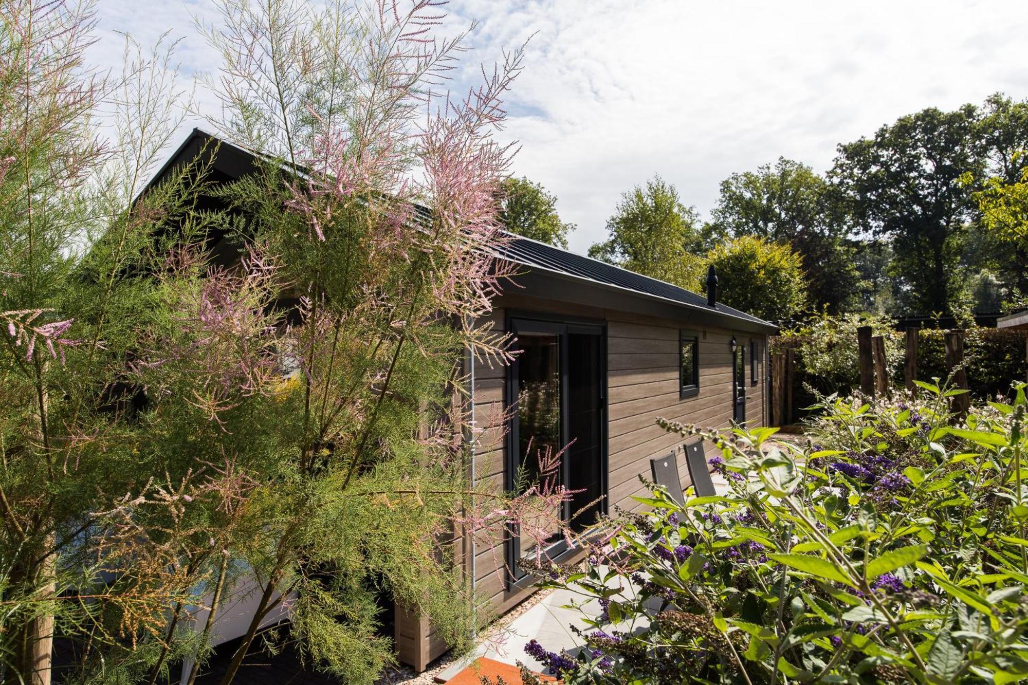 Modern Ingericht Chalet Op Groen Park Op De Veluwe Epe Esterno foto