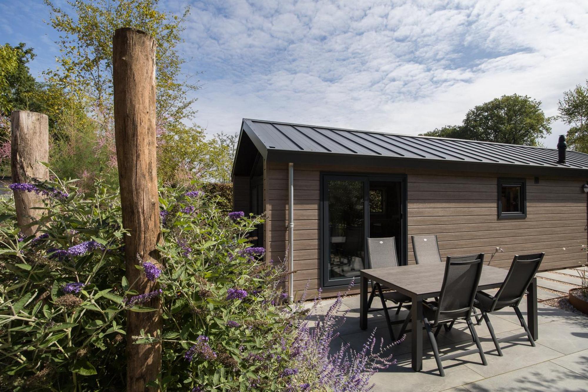 Modern Ingericht Chalet Op Groen Park Op De Veluwe Epe Esterno foto