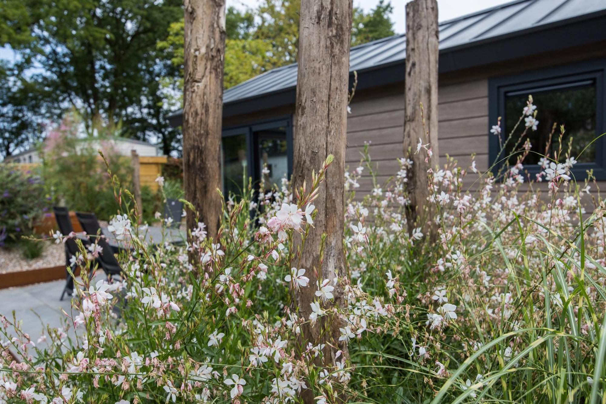 Modern Ingericht Chalet Op Groen Park Op De Veluwe Epe Esterno foto